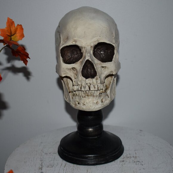 Realistic Skull On Pedestal Resin Spooky Gothic Fall Horror Halloween Decor - Picture 1 of 8